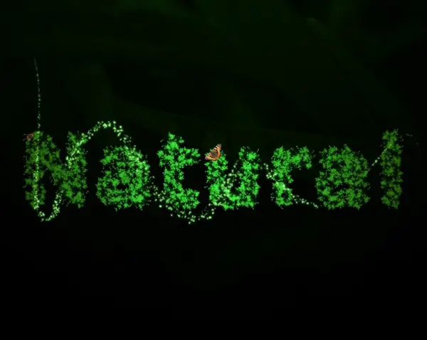 photoshop text effects tutorials
