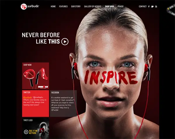 photography background website
