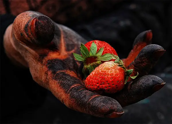 macro photography