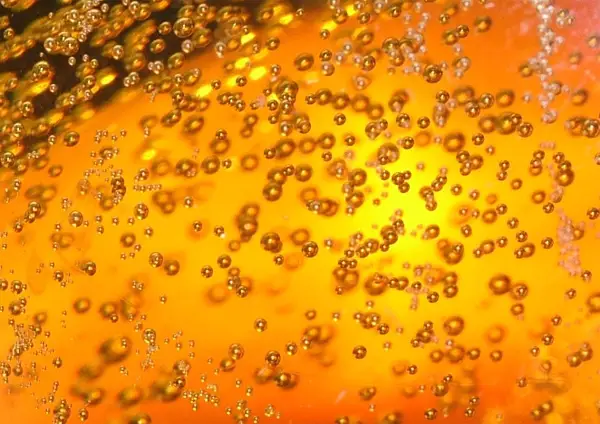 macro photography