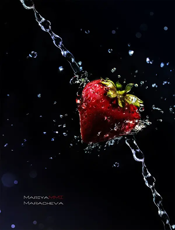 macro photography