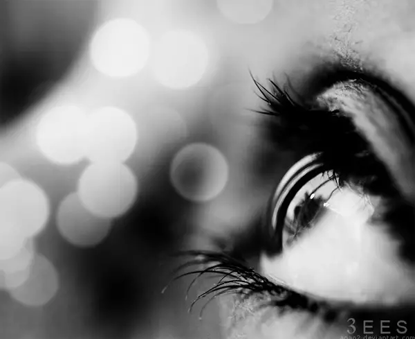 macro photography