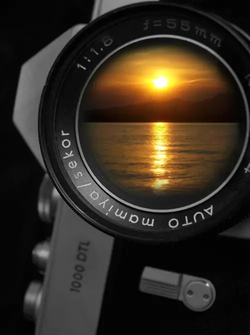 macro photography