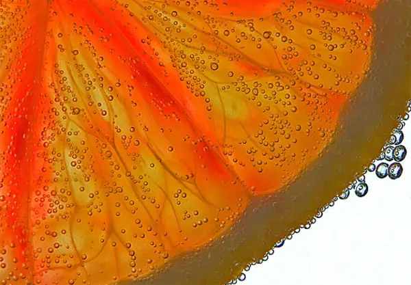 macro photography