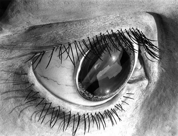 macro photo of the eye