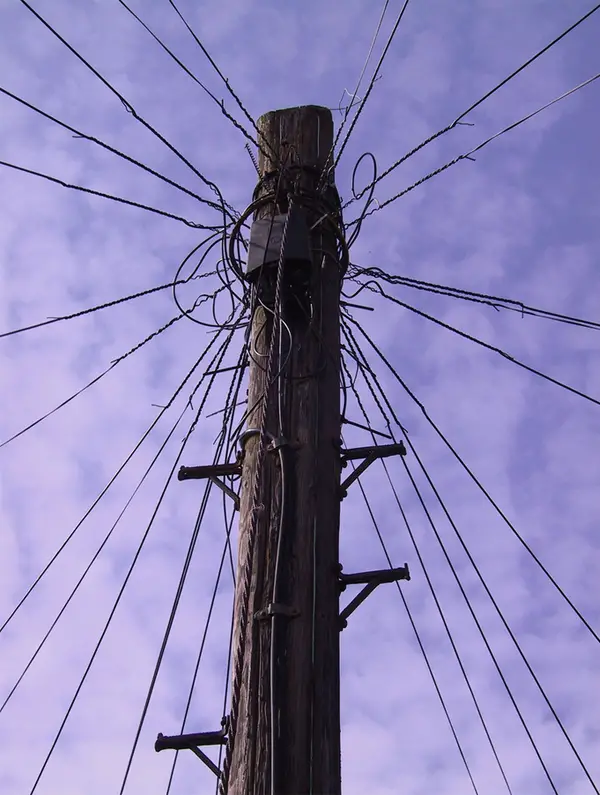 The dreaded telephone pole! Photo by Nicholas Smale