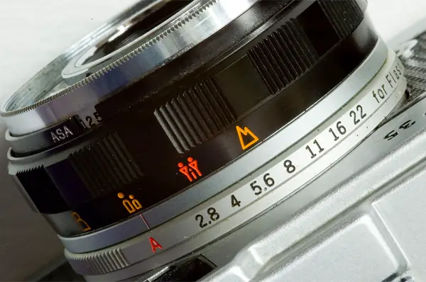Shooting still life? Go with single AF! Photo by George Rex