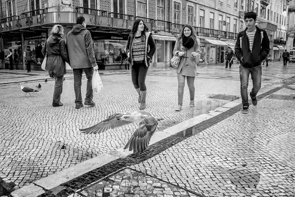 Photo by Daniel Antunes