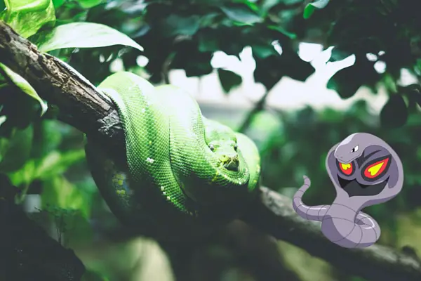 snake-pokemon-go-pictures.jpg