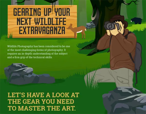 Infographic: What You Need For Wildlife Photography