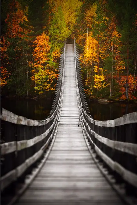 Brilliant Examples of Bridge Photography