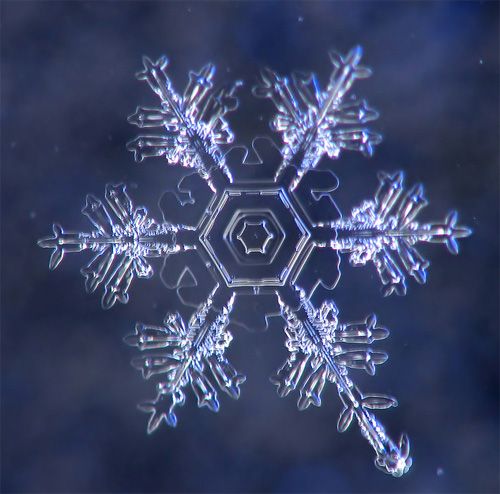 macro photography snowflakes