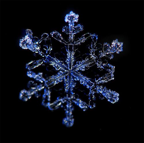 macro photography snowflakes