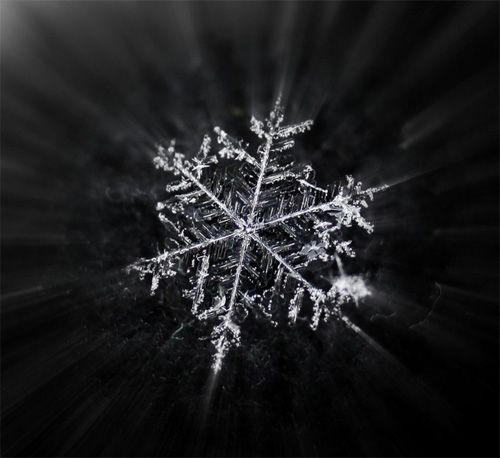 Incredible Macro Photos of Snowflakes - Photodoto