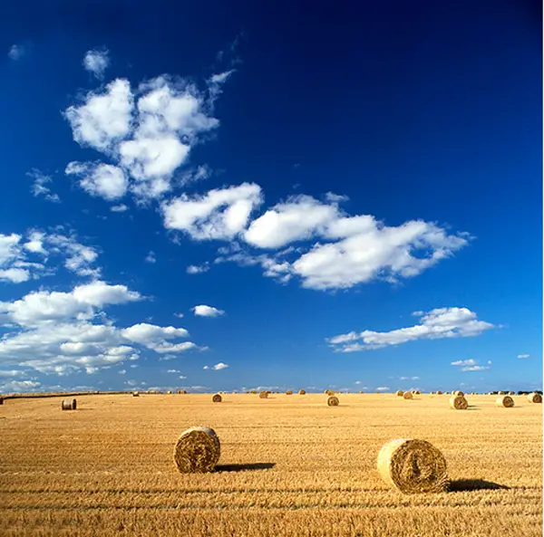 When Less is Really More Minimalism in Photography