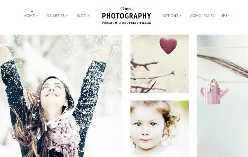 WordPress makes it easy to get a great looking photo blog, and fast.