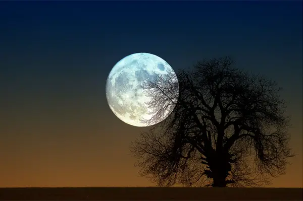 Catch the Moon: 100 Magnificent Moon Photos You Have Never Seen Before