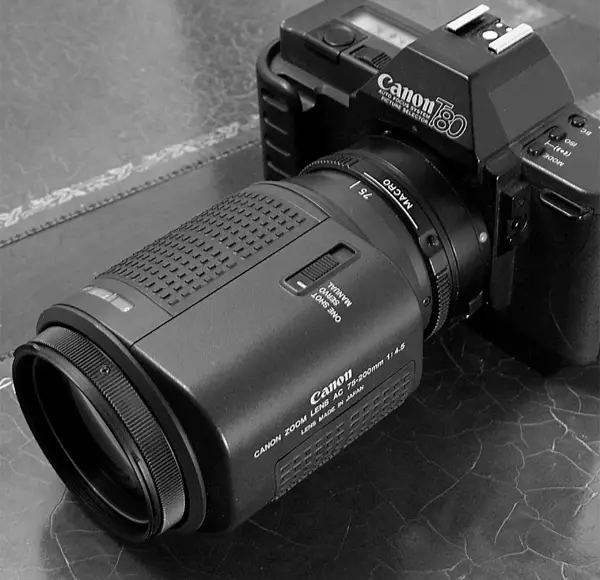 Hybrid autofocus: combining phase-detection AF and contrast AF. Photo by Casual Camera Collector