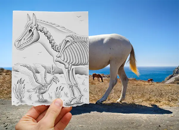 Photo by Ben Heine