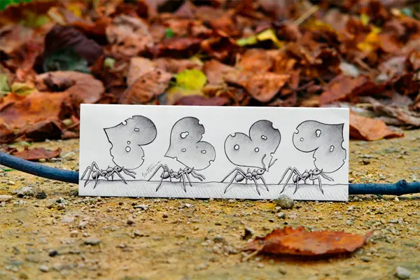 Photo by Ben Heine