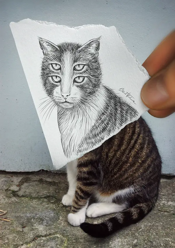 Photo by Ben Heine