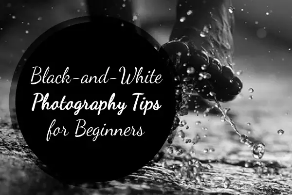 Black-and-White Photography Tips for Beginners - Photodoto