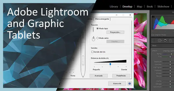 Photographer's Guide to Using Tablets for Lightroom Editing - Photodoto