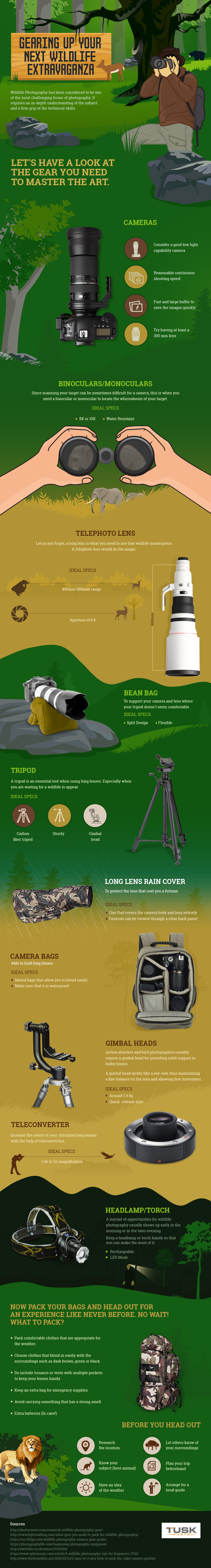 Infographic: What You Need For Wildlife Photography - Photodoto