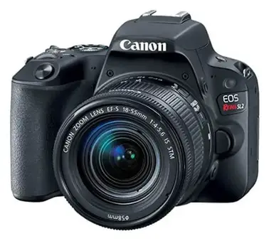 Featured image of post Best Dslr Camera For Beginners Canon Or Nikon / The best nikon dslr for beginners: