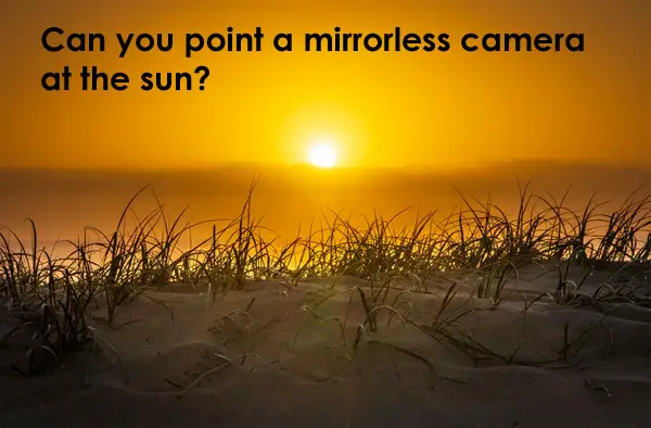 mirrorless-camera-sun-1