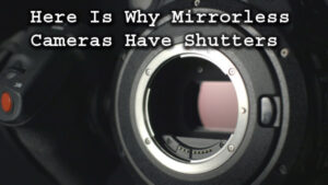 wear os camera shutter