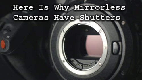 wear os camera shutter