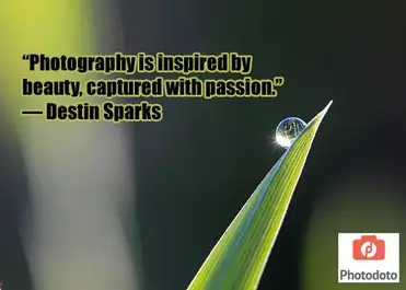 beautiful photography with quotes