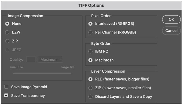 TIFF options window