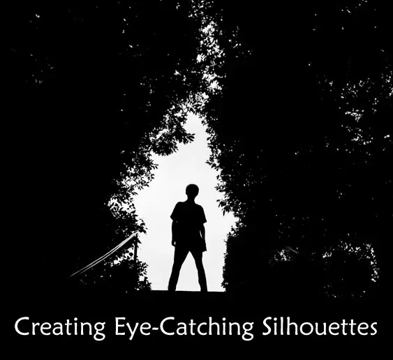 Techniques for Creating Eye-Catching Silhouettes