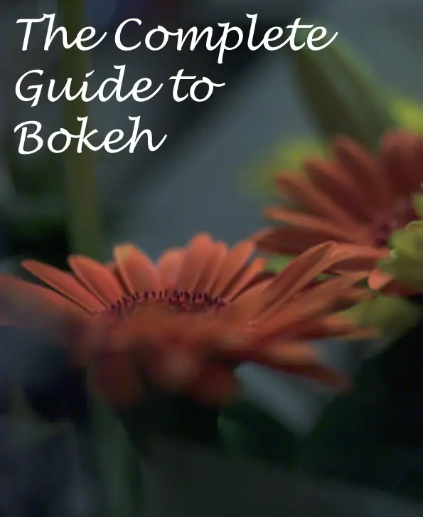 Understanding Bokeh in Photography: A Complete Guide